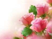 Pink Roses Puzzle image