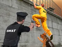 Prison Survive Break Escape image